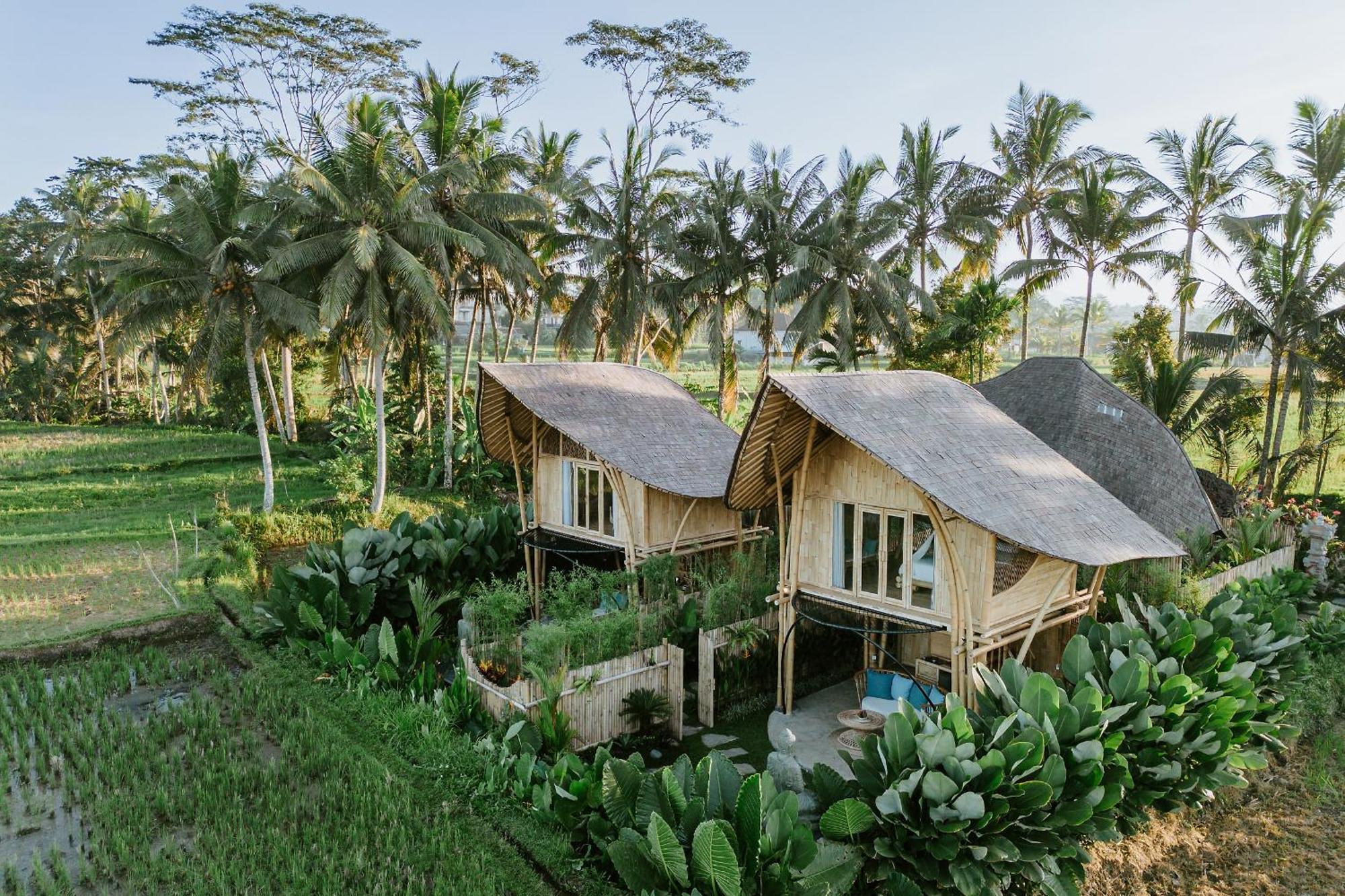 Puca Gavi Eco Luxury Villa Ubud Managed By Manara ภายนอก รูปภาพ